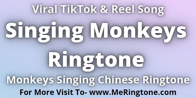 You are currently viewing Singing Monkeys Ringtone Download