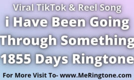 i Have Been Going Through Something 1855 Days Ringtone