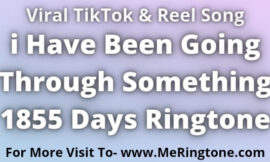 i Have Been Going Through Something 1855 Days Ringtone