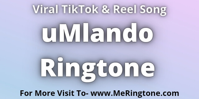 Read more about the article uMlando Ringtone Download