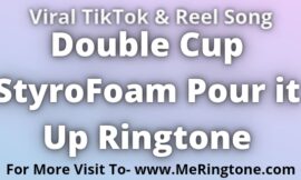 Double Cup StyroFoam Pour it Up Ringtone Download