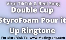 Double Cup StyroFoam Pour it Up Ringtone Download
