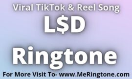 L$d Ringtone Download