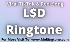 L$d Ringtone Download