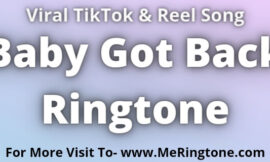 Baby Got Back Ringtone Download