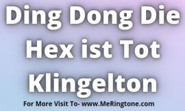 Ding Dong Die Hex ist Tot Klingelton Download