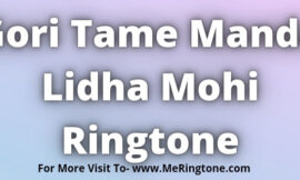 Gori Tame Manda Lidha Mohi Ringtone Download