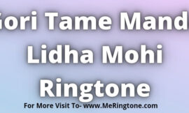 Gori Tame Manda Lidha Mohi Ringtone Download