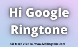 Hi Google Ringtone Download