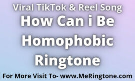 How Can i Be Homophobic Ringtone Download