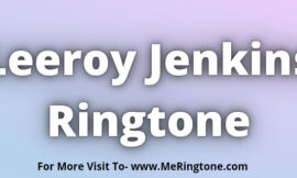 Leeroy Jenkins Ringtone Download