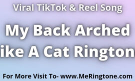 My Back Arched Like A Cat Ringtone Download