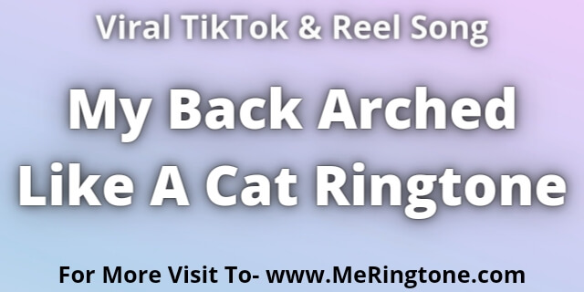 You are currently viewing My Back Arched Like A Cat Ringtone Download