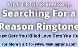 Searching For a Reason Ringtone Download