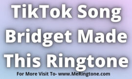 TikTok Song Bridget Made This Ringtone Download