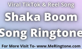 TikTok Shaka Boom Song Ringtone Download