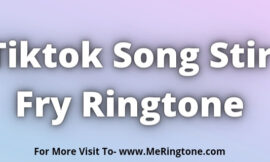 Tiktok Song Stir Fry Ringtone Download