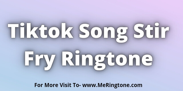 Read more about the article Tiktok Song Stir Fry Ringtone Download