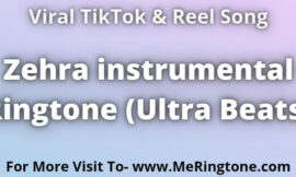Zehra instrumental Ringtone Download