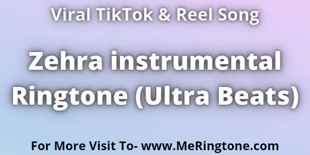 Read more about the article Zehra instrumental Ringtone Download