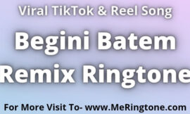 Begini Batem Remix Ringtone Download