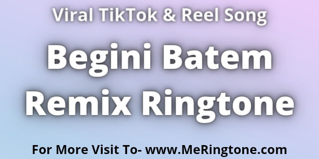 Read more about the article Begini Batem Remix Ringtone Download