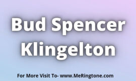 Bud Spencer Klingelton Download