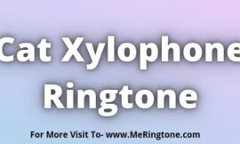 Cat Xylophone Ringtone Download