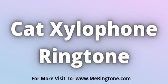 You are currently viewing Cat Xylophone Ringtone Download