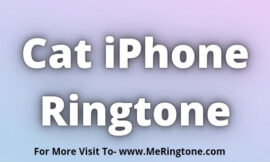 Cat iPhone Ringtone Download