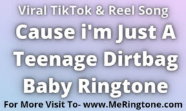 Cause i’m Just A Teenage Dirtbag Baby Ringtone Download