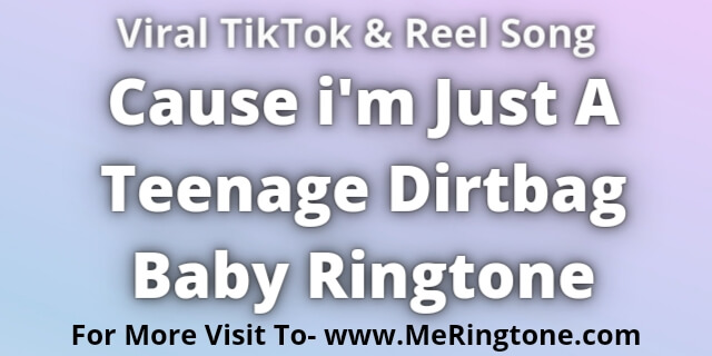Read more about the article Cause i’m Just A Teenage Dirtbag Baby Ringtone Download