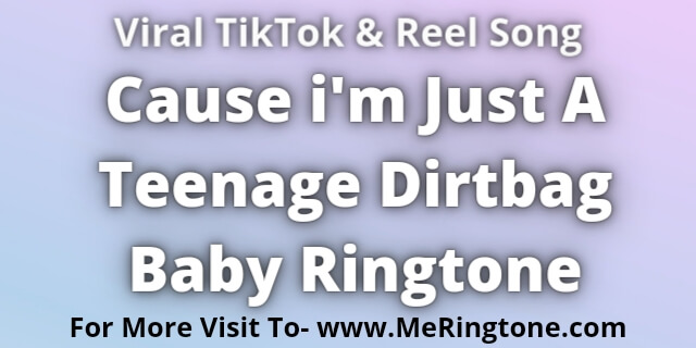 You are currently viewing Cause i’m Just A Teenage Dirtbag Baby Ringtone Download