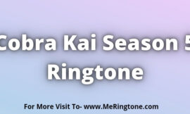 Cobra Kai Season 5 Ringtone Download