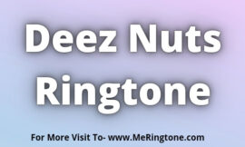 Deez Nuts Ringtone Download