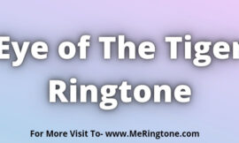 Eye of The Tiger Ringtone Download
