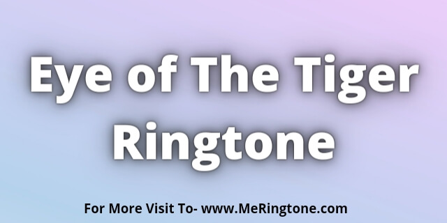 You are currently viewing Eye of The Tiger Ringtone Download