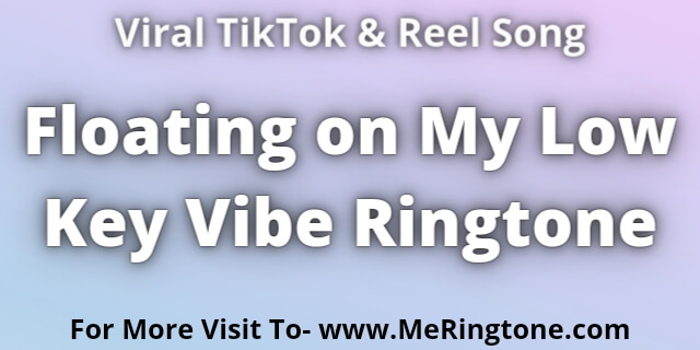 Read more about the article Floating on My Low Key Vibe Ringtone Download