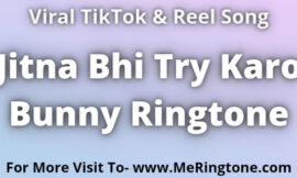 Jitna Bhi Try Karo Bunny Ringtone Download