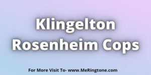 Read more about the article Klingelton Rosenheim Cops Download