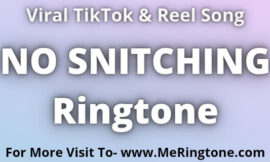 NO SNITCHING Ringtone Download