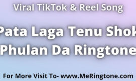 Pata Laga Tenu Shok Phulan Da Ringtone Download