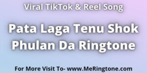Read more about the article Pata Laga Tenu Shok Phulan Da Ringtone Download