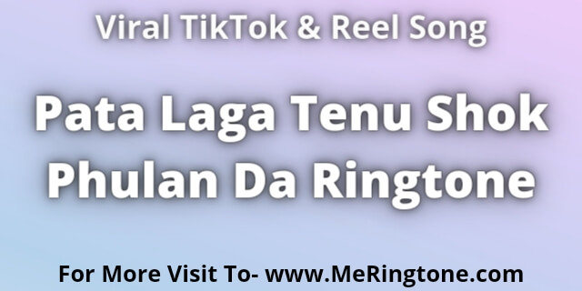 You are currently viewing Pata Laga Tenu Shok Phulan Da Ringtone Download