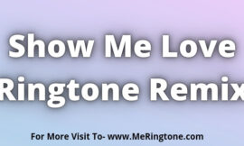 Show Me Love Ringtone Remix Download