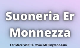 Suoneria Er Monnezza Download