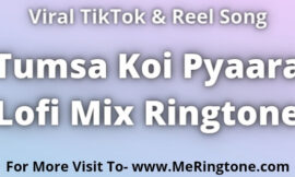 Tumsa Koi Pyaara Lofi Mix Ringtone Download