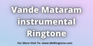 Read more about the article Vande Mataram instrumental Ringtone Download