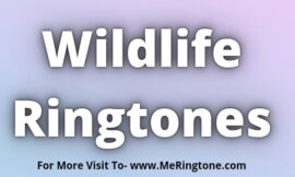 Wildlife Ringtones Download