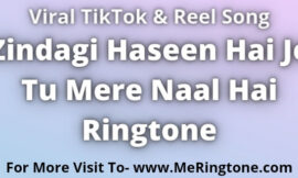 Zindagi Haseen Hai Je Tu Mere Naal Hai Ringtone Download